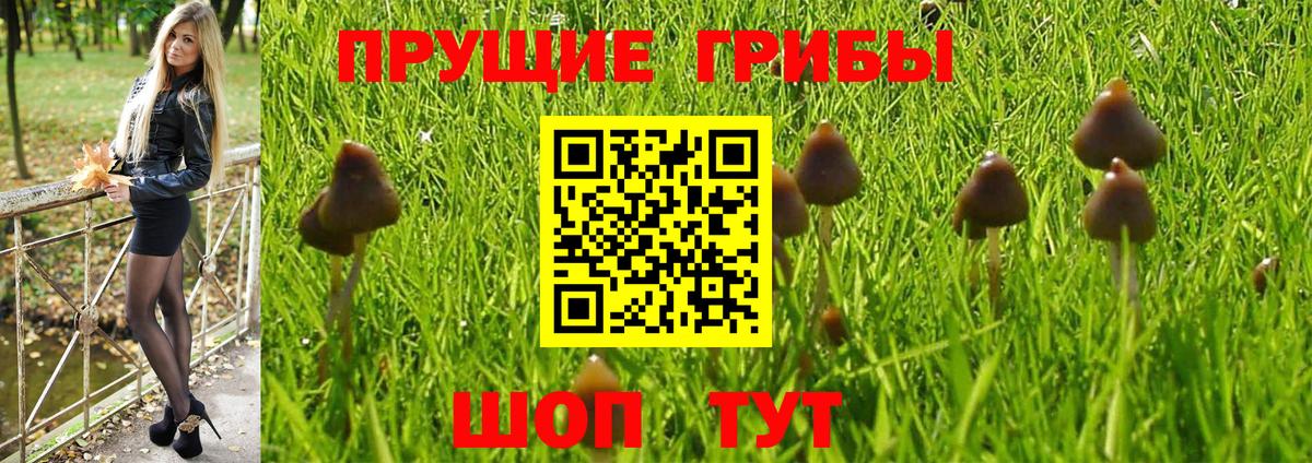 Псилоцибиновые грибы прущие грибы  Вход с VPN  Зерноград 